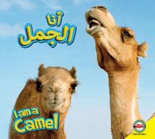 Camel: Arabic-English Bilingual Edition 1619138832 Book Cover