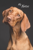 My Notes: Notebook Dog | Size 6" x 9", 100 Pages | Trend and Original | Convenient to rate Ideas 1674464169 Book Cover
