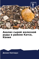 Анализ сырой железной ру 6205674335 Book Cover