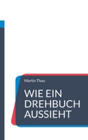 Wie ein Drehbuch aussieht: Format-Angaben und inhaltliche Hinweise 3756820017 Book Cover