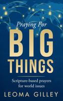 Praying for Big Things: The Issues in Our World 0979896622 Book Cover