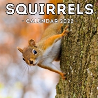 Squirrels Calendar 2022: 16-Month Calendar, Cute Gift Idea For Squirrel Lovers Women & Men null Book Cover