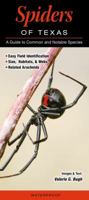 Spiders of Texas: A Guide to Common and Notable Species 1936913887 Book Cover