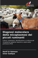 Diagnosi molecolare della micoplasmosi dei piccoli ruminanti (Italian Edition) 6209792596 Book Cover