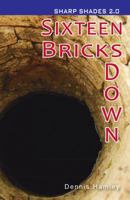 Sixteen Bricks Down 1781279845 Book Cover