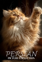 Persian Cat Photo Collection: Beautiful Full-Page Pictures of Persian Cats and Kittens for All Ages (Simple Photo Books). B0GG5DS6JB Book Cover