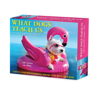 2026 What Dogs Teach Us Box 1549254510 Book Cover