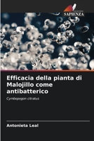 Efficacia della pianta di Malojillo come antibatterico (Italian Edition) 6206455262 Book Cover