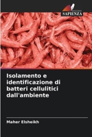 Isolamento e identificazione di batteri cellulitici dall'ambiente (Italian Edition) 6208544424 Book Cover