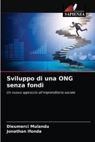 Sviluppo di una ONG senza fondi: Un nuovo approccio all'imprenditoria sociale 6204059491 Book Cover
