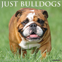 Just Bulldogs 2022 Wall Calendar (Dog Breed) 1549217194 Book Cover