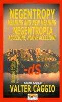 Negentropy Meaning and New Meaning Negentropia Accezione, Nuove Accezioni 1847532551 Book Cover
