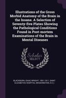 Illustrations of the Gross Morbid Anatomy of the Brain in the Insane. A Selection of Seventy-five Plates Showing the Pathological Conditions Found in ... Examinations of the Brain in Mental Diseases 1177492768 Book Cover