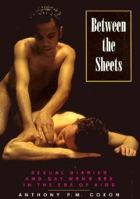 Between the Sheets: Sexual Diaries And Gay Men's Sex in the Era of AIDS (Sexual Politics) 0304332089 Book Cover