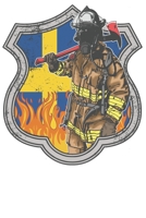 Schweden Feuerwehrmann: Wochenplaner Januar bis Dezember 2020 - 1 Woche auf einen Blick - DIN A5 Monatsplaner Jahresplaner Jahr Terminplaner Checklisten & Notizen Freiwillige Feuerwehr Brand Feuer Feu 1678526061 Book Cover