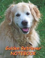 Golden Retriever NOTEBOOK: Dog Notebooks and Journals 110 pages (8.5x11) 1660455251 Book Cover