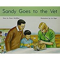 Sandy Goes to the Vet 1418924423 Book Cover