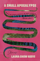 A Small Apocalypse: Stories 0810146940 Book Cover