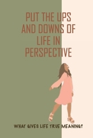 Put The Ups And Downs Of Life In Perspective: What Gives Life True Meaning?: The Path Of Success B099TGCT8L Book Cover