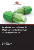 La plante merveilleuse du Meghalaya: Zanthoxylum acanthopodium DC (French Edition) 6208946522 Book Cover