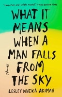 What It Means When a Man Falls from the Sky 0735211035 Book Cover