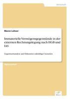 Immaterielle Vermogensgegenstande in Der Externen Rechnungslegung Nach Hgb Und IAS 3838689240 Book Cover