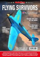 Flying Survivors - WW2 Aircraft in Peacetime 1911639153 Book Cover