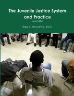 Juvenile Justice System and Practice 1365505707 Book Cover