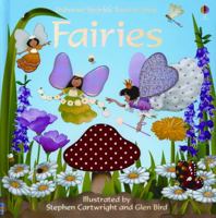 Usborne Sparkly Touchy-Feely Fairies (Sparkly Touchy Feely Board Books)