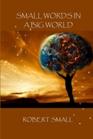 Small Words in a Big World 1365179923 Book Cover