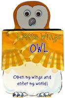 Owl: Open My Wings and Enter My World (Little Wings) 1575841517 Book Cover