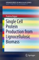 Single Cell Protein Production from Lignocellulosic Biomass 9811058725 Book Cover