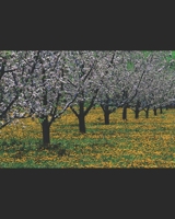 I Am Jinks B0C1JJRDS4 Book Cover