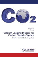 Calcium Looping Process for Carbon Dioxide Capture: Sintering-Resistant Sorbents Synthesis 3659329363 Book Cover