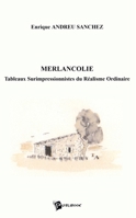 Merlancolie: Tableaux Surimpréssionnistes du Réalisme Ordinaire 2748300068 Book Cover