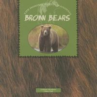 Brown Bears 0768506611 Book Cover