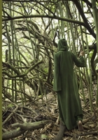 Spellcasting Companion for Physical Witchcraft:: An A-Z Guide of Magical Ingredients B0BVD4F43W Book Cover