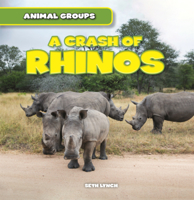 Crash of Rhinos B0GN2PTPXC Book Cover