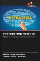 Strategie organizzative (Italian Edition) 620821761X Book Cover