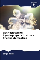 Исследования Cymbopogon citratus и Prunus domestica 6206864472 Book Cover
