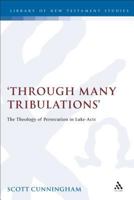 Through Many Tribulations: The Theology of Persecution in Luke-Acts (Jsnt Supplement Series, 142) 1850756619 Book Cover