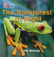 The Rainforest at Night 0007236050 Book Cover