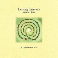 Ladybug Labyrinth: A Journey Home 0976205440 Book Cover