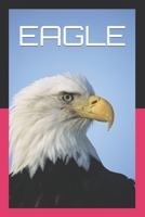 EAGLE B09TCZYBMK Book Cover