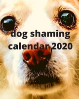 dog shaming Calendar 2020 1673279457 Book Cover