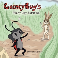 Lainey Bug's Rainy Day Surprise 1489753958 Book Cover