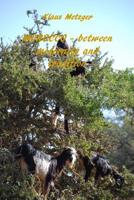 MOROCCO - between modernity and tradition 1500530581 Book Cover