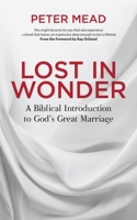 Lost in Wonder: A Biblical Introduction to God's Great Marriage 1781919070 Book Cover