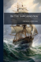 In The Sargasso Sea 1024698564 Book Cover