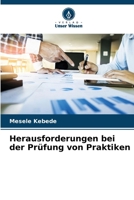 Herausforderungen bei der Prüfung von Praktiken (German Edition) 6209577369 Book Cover